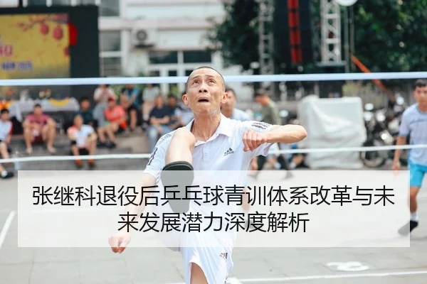 张继科退役后乒乓球青训体系改革与未来发展潜力深度解析